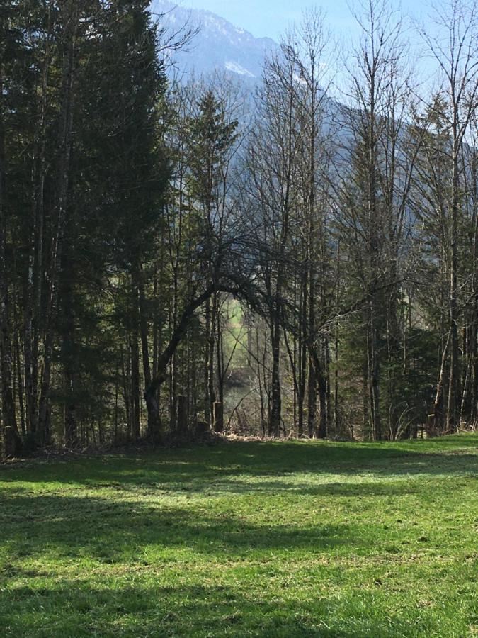 Wengerwirt Zur Laube Bed & Breakfast Weng im Gesause Exterior foto