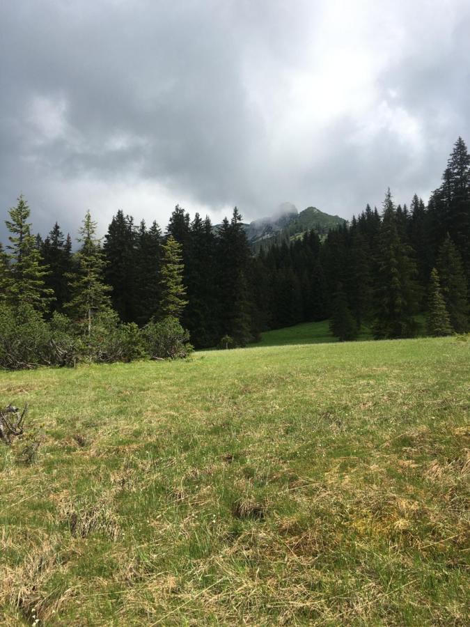 Wengerwirt Zur Laube Bed & Breakfast Weng im Gesause Exterior foto