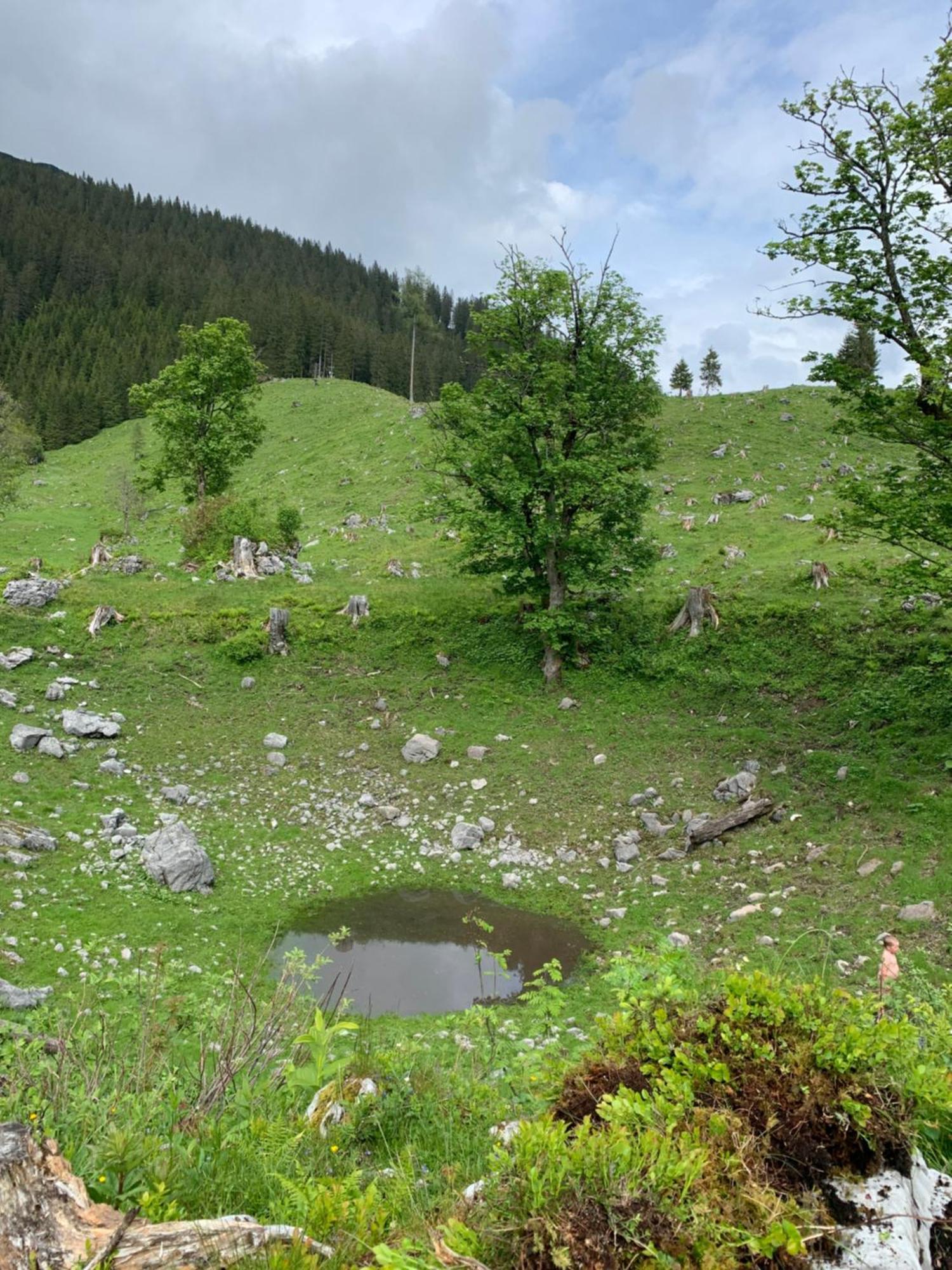 Wengerwirt Zur Laube Bed & Breakfast Weng im Gesause Exterior foto